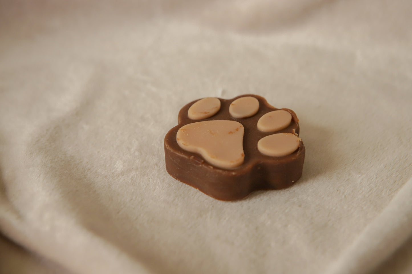 brown dog soap paw