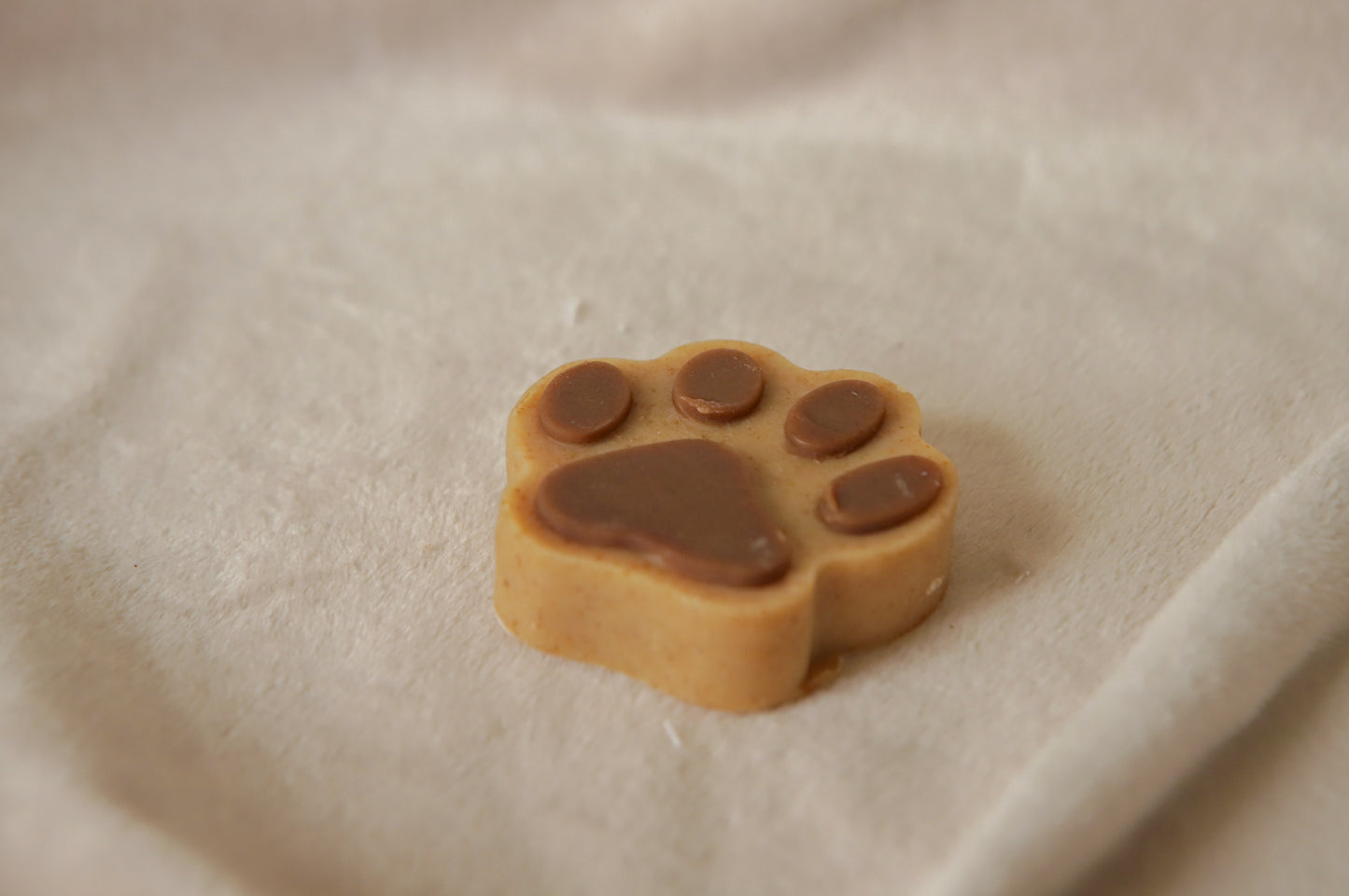 ginger dog soap paw