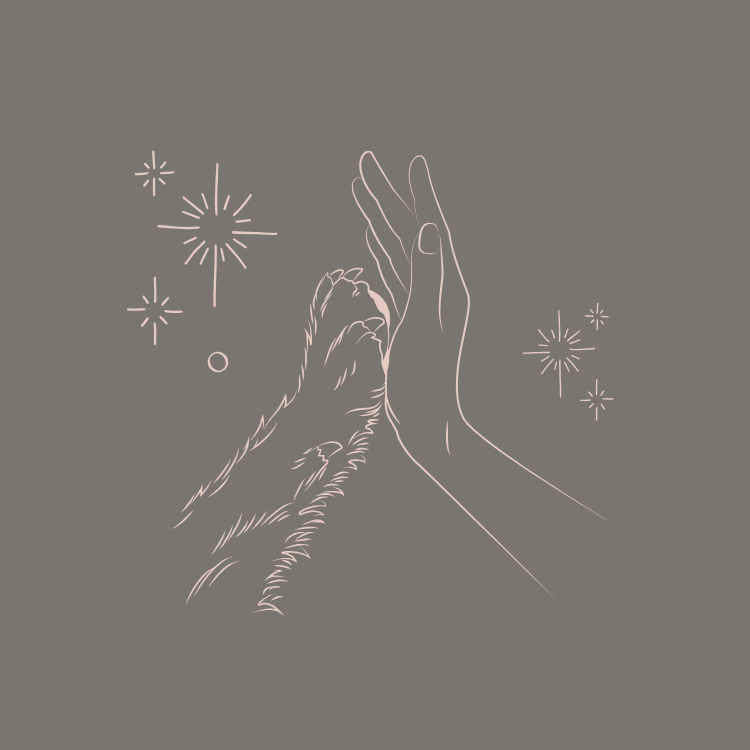 line drawing of hand and dog paw high fiving with sparkles around them