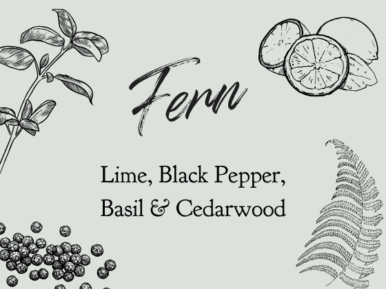 05 — Fern
