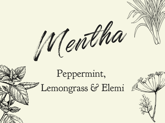 04 — Mentha