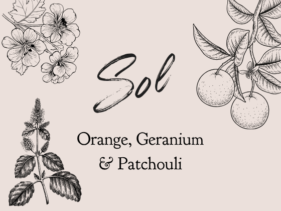 08 — Sol