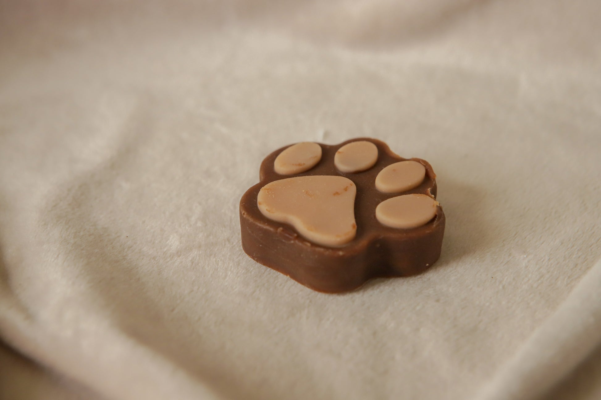 brown dog soap paw