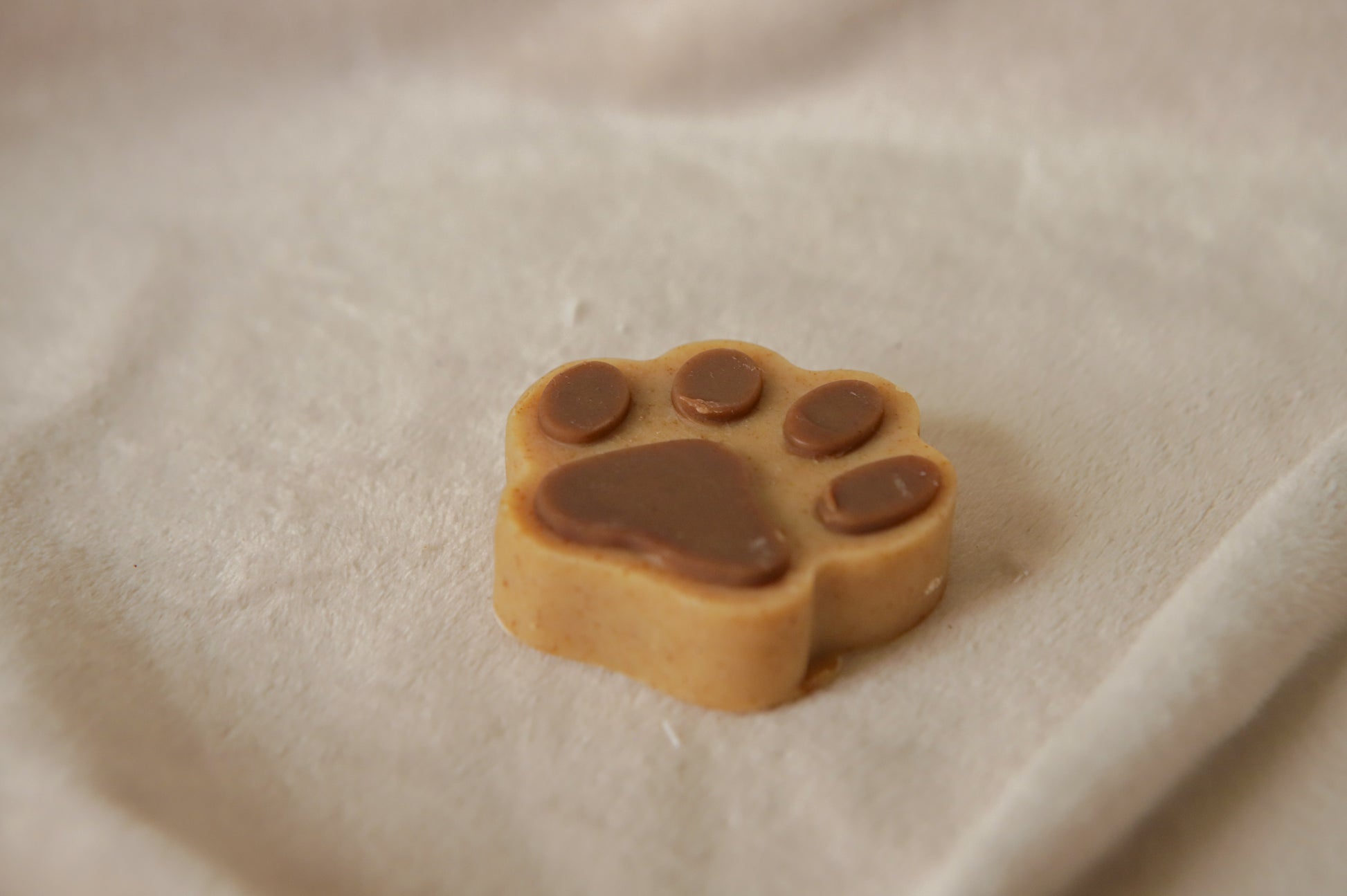 ginger dog soap paw