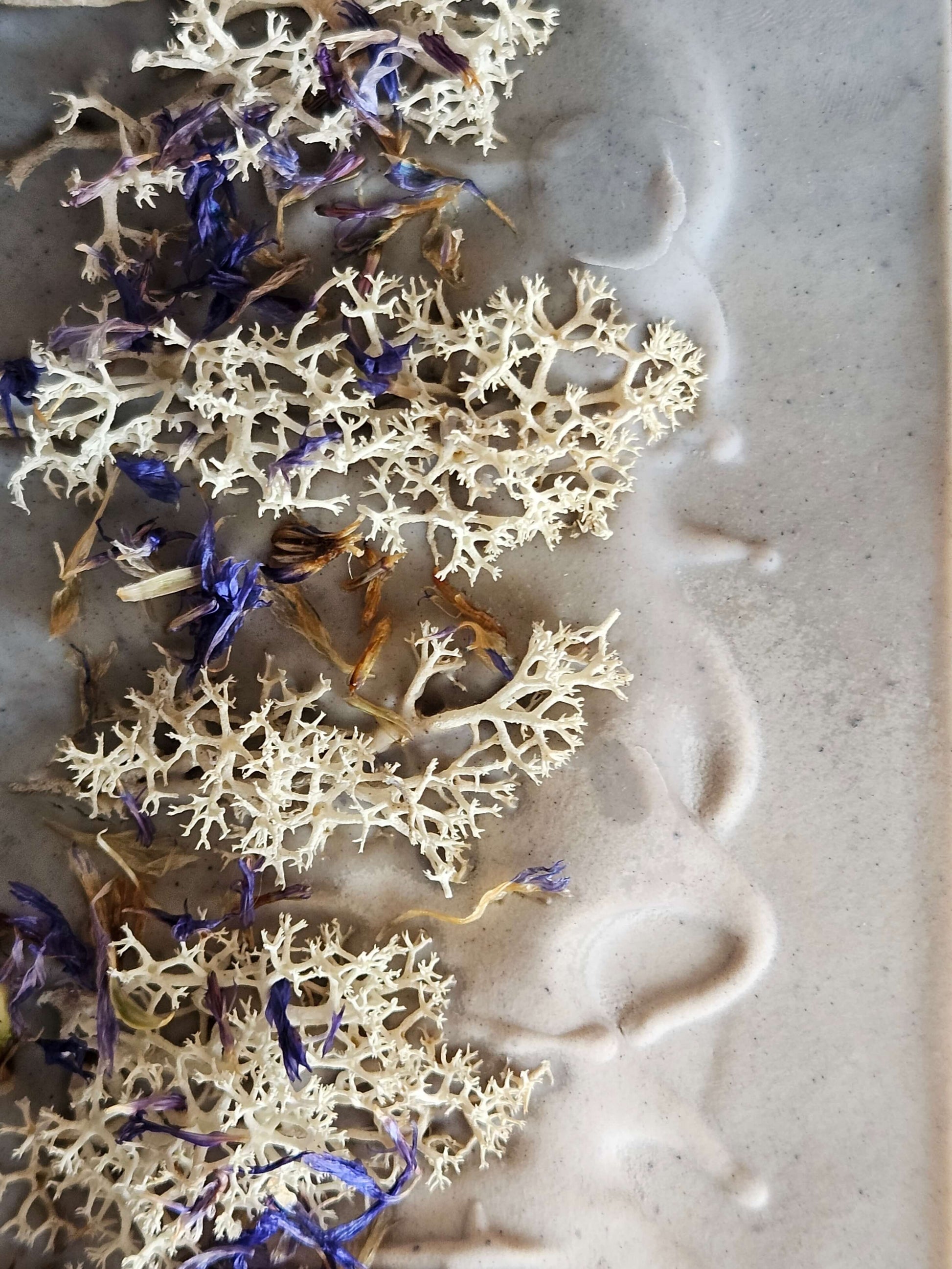 Moss soap top with soft white reindeer moss and blue cornflower petals