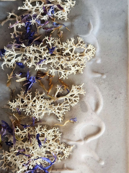 Moss soap top with soft white reindeer moss and blue cornflower petals