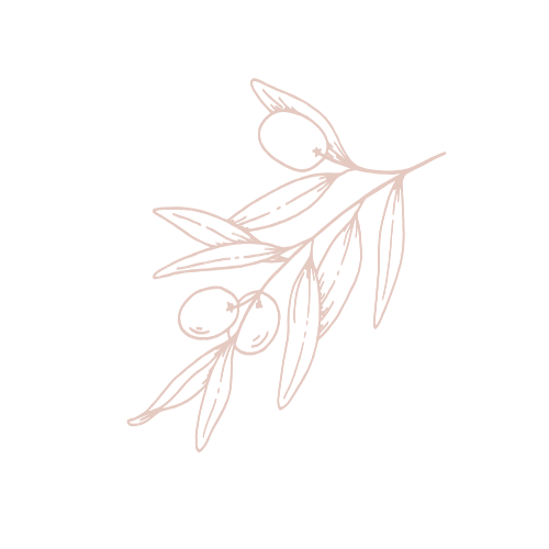 line drawing of an olive branch