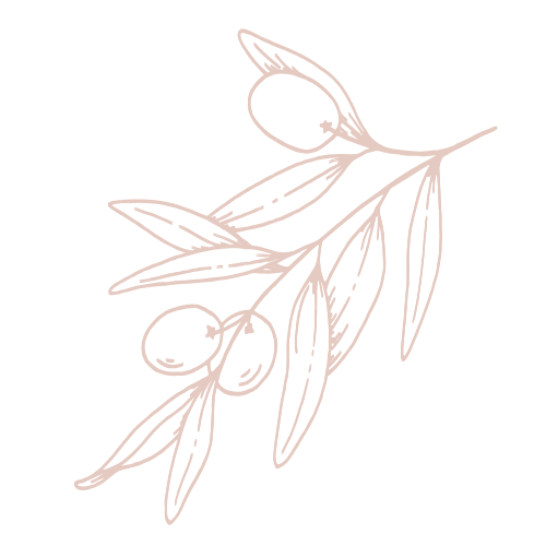 olive branch line drawing