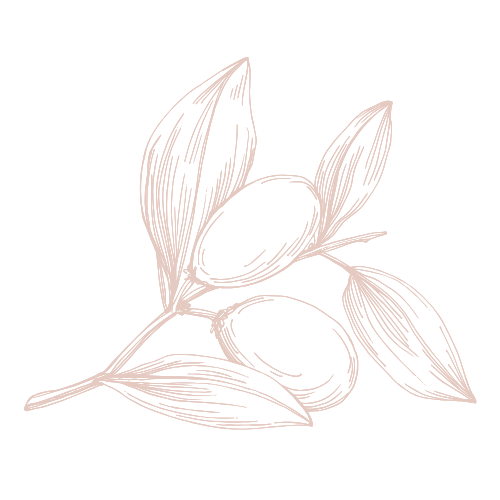 olive branch line drawing